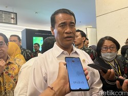 Harga Beras di 19 Daerah Sulsel Turun, Makassar-Tana Toraja Masih di Atas HET