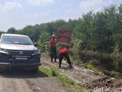 Strategi PT WKS Jambi Jaga Gambut dari Ancaman Karhutla di Kebun Akasia