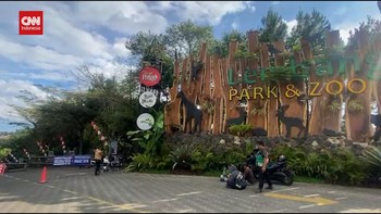 VIDEO: Kabar Macan di Lembang Zoo Bandung Kabur, Polisi Turun Tangan