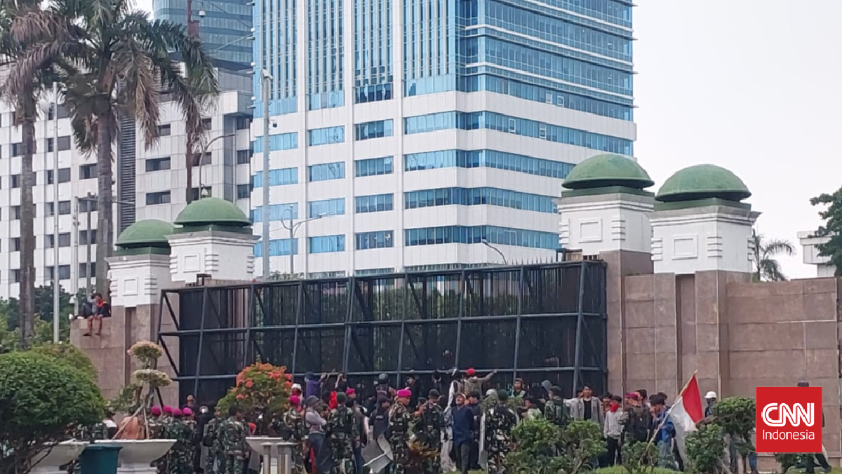 Pakar Asing Pertanyakan Demokrasi RI jika Tak Lindungi Warga Demo