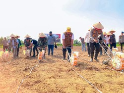Dukung Ketahanan Pangan, Pemkab-Polres Tanam Jagung di Ponpes Banyuasin