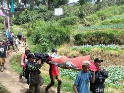 Pendaki Tewas di Gunung Gede Pangrango, Awalnya Pingsan