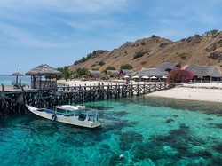 Pengakuan Pekerja Tambang Emas Ilegal Dekat TN Komodo: Ada Aparat Terlibat