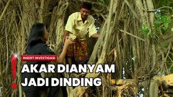 Kisah Pak Jalal 21 Tahun Tinggal di Pohon Beringin Dekat Makam Leluhur