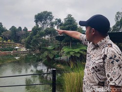 Perburuan Macan Tutul yang Kabur di Lembang Park & Zoo Belum Berbuah Hasil