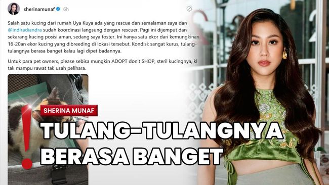 Sherina Munaf Selamatkan Kucing Uya Kuya dari Penjarahan, Kondisi Miris