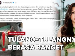 Sherina Munaf Selamatkan Kucing Uya Kuya dari Penjarahan, Kondisi Miris