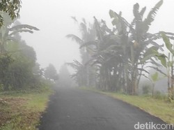 Menyusuri Munduk Duk Badung, Kampung Kebun yang Gelap Tanpa Listrik