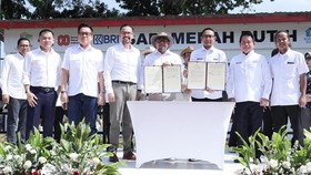BRI Dukung Swasembada Pangan Lewat Program Sapi Merah Putih