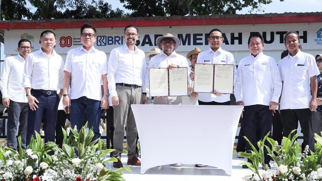 Dukungan terhadap Program Sapi Merah Putih ini sejalan dengan misi BRI hadir di tengah masyarakat, terutama dalam sektor pangan dan agribisnis.