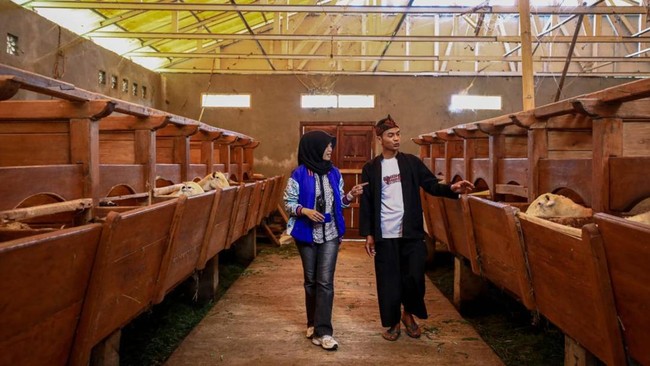 PT Bank Rakyat Indonesia (Persero) Tbk atau BRI mencatat capaian signifikan dalam upaya mendorong pelaku Usaha Mikro, Kecil, dan Menengah (UMKM) naik kelas.