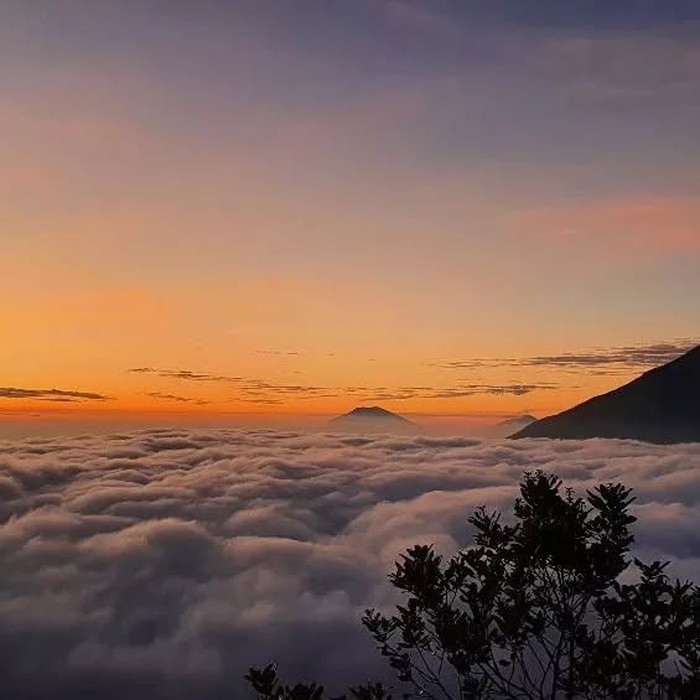 Bukit Sikunir. Berlokasi di Dieng, Jawa Tengah/Foto: instagram.com/sikunir_official