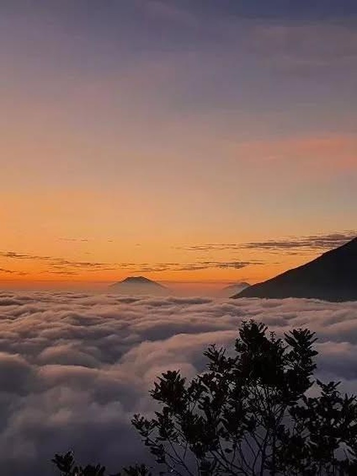 Bukit Sikunir. Berlokasi di Dieng, Jawa Tengah/Foto: instagram.com/sikunir_official