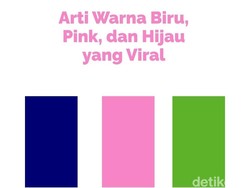 Viral Simbol Warna Biru, Pink, dan Hijau di Tengah Demo DPR, Apa Artinya?