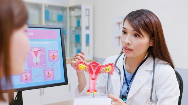 Dokter Cek Vagina Dokter Cek Vagina