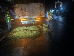 Perempuan 18 Tahun Tewas Hantam Truk Parkir di Badung
