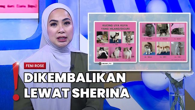 Kisah Kucing Uya Kuya Setelah Rumah Dihancurkan, Negosiasi Berlanjut
