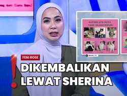 Nasib Kucing Uya Kuya Usai Rumah Dijarah, Ada yang Masih Negosiasi