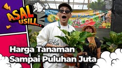 img-title Healing Murah! Datang ke Pameran Flora Fauna di Jakarta