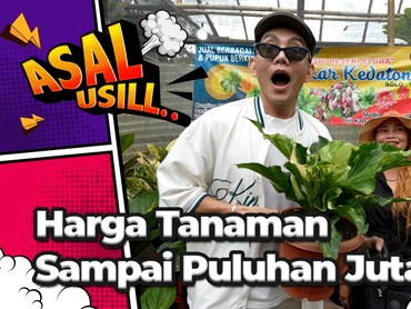 img-title Healing Murah! Datang ke Pameran Flora Fauna di Jakarta
