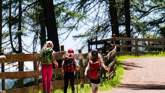 Berjalan kaki dan hiking lebih efektif untuk membakar lemak. Berjalan kaki atau hiking dapat membakar lebih banyak kalori, tergantung pada durasi dan jarak yang ditempuh./Foto: Pixabay.com