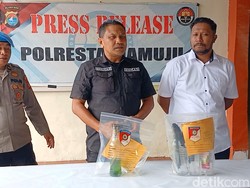 2 Mahasiswa Bawa Bom Molotov Saat Demo Ricuh di DPRD Sulbar Jadi Tersangka