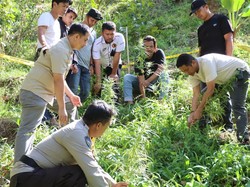 Pria Bikin Ladang Ganja di Bulukumba Ternyata Sejak 2023, Beli Bibit Online