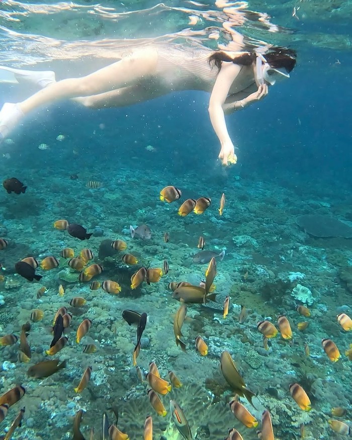 Sang aktris juga mengabadikan momen berkesannya saat melakukan snorkeling bersama ikan-ikan di salah satu pantai Pulau Bali./ Foto: instagram.com/j_chaeyeoni