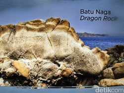 Batu Punggung Naga, Warisan Purba di Selatan Jawa