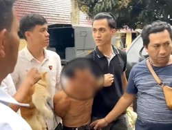 Sujady Jagal Kucing Lalu Jual Dagingnya Sejak 4 Bulan Terakhir