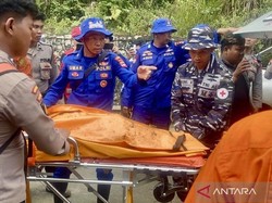 Tim SAR Berhasil Kumpulkan 8 Jasad Korban Heli Jatuh di Kalsel