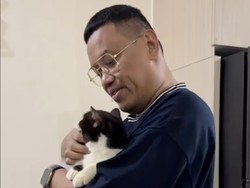 Video Uya Kuya Cerita soal Kucing-kucingnya Usai Rumah Dijarah