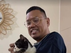 Video: Rumahnya Dijarah Massa, Uya Kuya Ngaku Tinggal di Safe House