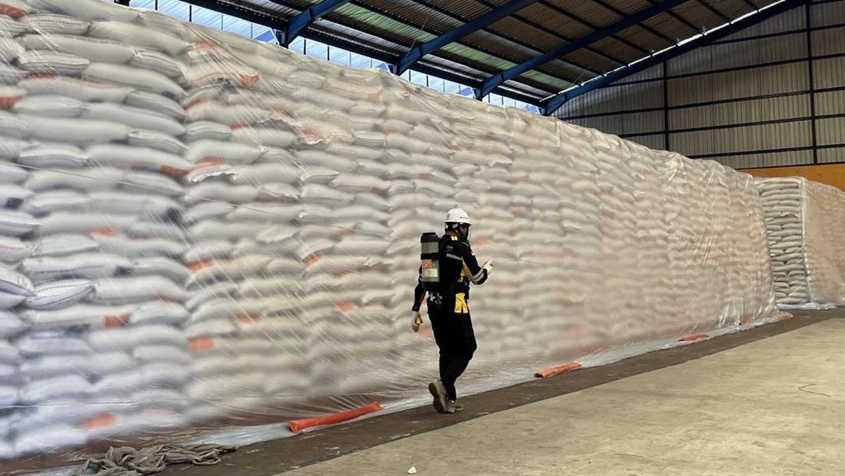 Perum Bulog Jamin Stok Beras Nasional Aman dan Berkualitas