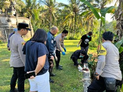 Janin Berusia 14 Minggu Ditemukan Membusuk di Kuburan Tabanan