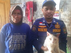 Hilang 4 Hari, Kucing Kesayangan Teti Ternyata Terjebak di Sumur