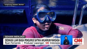 VIDEO: Sehari Menjadi Pengurus Satwa Akuarium Raksasa