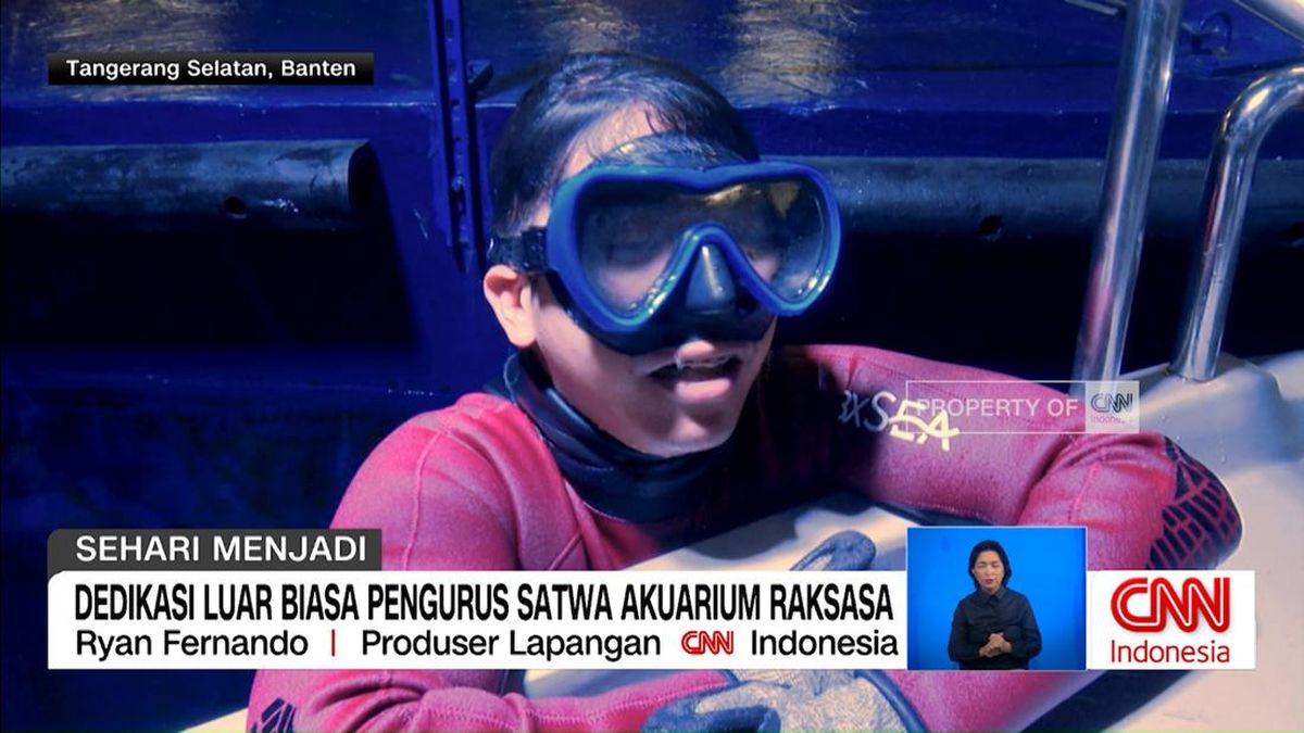 VIDEO: Sehari Menjadi Pengurus Satwa Akuarium Raksasa