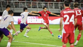 Miliano Sebut Indonesia vs Taiwan Jadi Malam yang 'Sempurna'