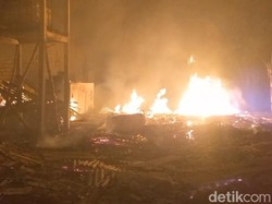 20 Ribu Ayam Mati Terpanggang Saat Kebakaran Kandang di Probolinggo