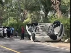 Mobil Tabrak Pohon hingga Terguling di Jalan Raya Senggigi, Sopir Patah Kaki