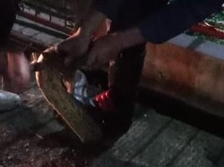 Pria Mabuk Bikin Geger Usai Buang Ular Sanca di Permukiman Warga Garut