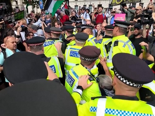 VIDEO: Ratusan Orang Ditangkap saat Demo Pro-Palestina di London