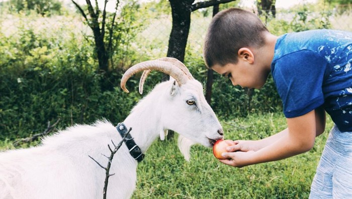 Berikan anak tanggung jawab. Bertanggung jawab akan memudahkan anak belajar menumbuhkan perasaan empati dan peduli. Coba berikan anak tugas sederhana, seperti memberi makan hewan peliharaan./ Foto: Freepik.com.
