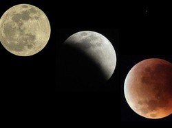 Penyebab Bulan Berwarna Merah Darah Saat Gerhana 7-8 September