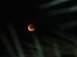 Pakar BRIN Jelaskan Mengapa Bulan Bisa Berwarna Merah Saat Gerhana Semalam