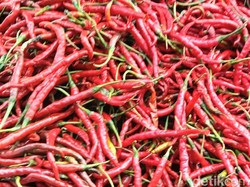 Harga Cabai Merah di Palembang Merangkak Naik