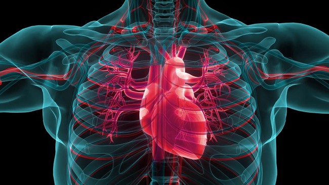 Keluarga WN Australia, mendiang Byron Haddow, terkejut saat jasadnya dipulangkan tanpa jantung. RSUP Bali menjelaskan proses autopsi dan pengembalian organ.