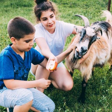 Ingin Anak Lebih Peduli? Begini Cara Membangun Empati Sejak Kecil