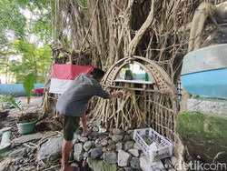 Alasan Jalal Hidup Menyatu dengan Alam di Rumah Pohon Beringin
